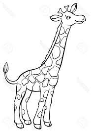 Drawing in photoshop can be somewhat different then drawing with pencil. Giraffe Drawing Pictures Cute Giraffe Drawing Very Easy How Giraffe Tekening Giraffe Dieren