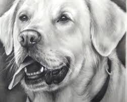 How to draw a puppy easy realistic. Puppy Drawing Easy Archives How To Draw Step By Step