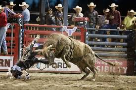 When you come down off the slopes, you can choose from recreation options like dog sled tours, sleigh rides and wildlife and nature tours. Jackson Hole Rodeo Added 19 New Jackson Hole Rodeo Facebook