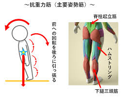 속 마법과고교의 열등생 메이지안 컴퍼니 1권 pdf arin. å§¿å‹¢ã‚'ä¿ã¤èƒ½åŠ› æŠ—é‡åŠ›ç­‹ã®å½¹å‰² é™¸ä¸Šç«¶æŠ€ã®ç†è«–ã¨å®Ÿè·µ Sprint Conditioning