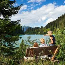 Bärenwald arbesbach der bärenwald arbesbach ist eine auffangstation der tierschutzorganisation vier pfoten für bären in not. Themenwege In Arosa Graubunden