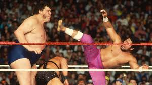 Image result for haku wrestler