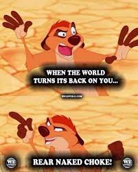 Timon Knows What He S Talking About Bjj Humor Martial Arts Humor Bjj Jiu Jitsu