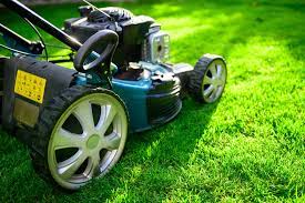 Keeping the grass moist during the first few weeks is essential. Home Lawns Centipedegrass Alabama Cooperative Extension System