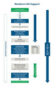 neonatal newborn resuscitation 2015 update first10em