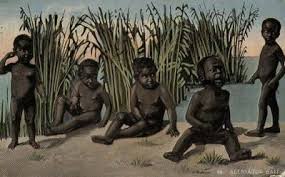 Black Babies Alligator Bait Whites Used Black Babies As Alligator Bait African American History Black Fact Black Babies