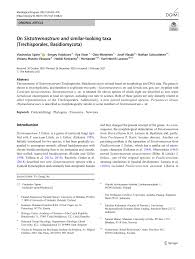 Tapi kenapa walls paling favorit, sebab favorit gk selalu yang terenak. Pdf On Sistotremastrum And Similar Looking Taxa Trechisporales Basidiomycota