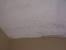 What Does Harmless Black Mold Look Like