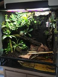 Pin By Josef Huber On Animals And Pets Reptile Tank Planted Aquarium Aquascape