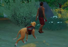 These are the best mods in the sims 4. Best Sims 4 Cats Dogs Mods For Your Pets 2021