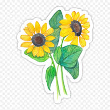 Cute transparent pixels for your selfies or whatever feel free to use whatever you want most of these aren't my pictures i just mke them transparent. Tumblr Flowers Sticker Png Picsart Transparent Tumblr Stickers Png Tumblr Transparent Png Free Transparent Png Images Pngaaa Com