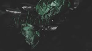 Check out our slytherin aesthetic selection for the very best in unique or custom,. Slytherin Aesthetic Desktop Wallpapers On Wallpaperdog