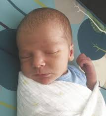 Meet Your New Neighbors