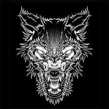 Vector Illustration Head Ferocious Wolf Outline Silhouette On A Black Background Wolf Animal Illustration Png And Vector With Transparent Background For Free Dog Vector Wolf Outline Cartoon Drawing Images
