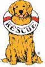 She has spurts of puppy energy but would adjust well to any size home as long as she gets the exercise and play time she needs. Delaware Valley Golden Retriever Rescue Inc Reviews And Ratings Reinholds Pa Donate Volunteer Review Greatnonprofits