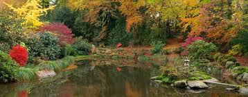 Comme si vous y étiez. Official Website Of The Parc Botanique De Haute Bretagne