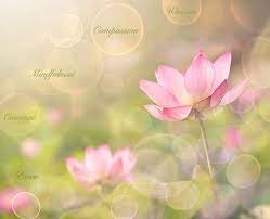 Pin On Flowers