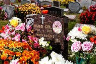Compare your options and call now. New York Burial Plots Will Now Allow Four Legged Companions The New York Times