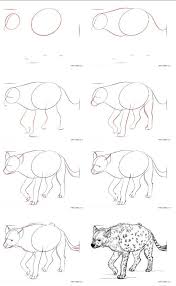 How To Draw A Spotted Hyena Hyena Creature Drawings Nature Sketch
