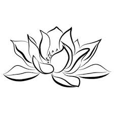 Black And White Water Lily Flower Tattoo Pin By Emma Jade On Tattoos In 2020 Water Lily Tattoos Lilies Drawing Flower Drawing