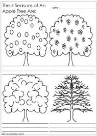 An Apple Tree In 4 Seasons Seasons Worksheets Seasons Kindergarten Kindergarten Worksheets