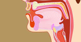 Do you have an annoying tickle in the back of your throat that makes you cough all the time? Vocal Burnout 3 Tips To Stop You From Ruining Your Voice Vocalzone