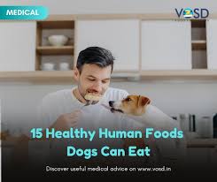 Human foods dogs can eat. Human Foods Dogs Can Eat Archives Vosd