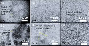 Formulation Of Water-In-Oil-In-Water (W/O/W) Emulsions Containing  Trans-Resveratrol