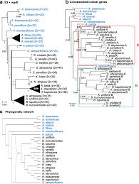 Image result for Humularia minima