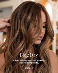 Tendencias de color para vos en esta temporada, visita nuestra página web  para leer el blog completo para inspirarte a un cambio de look❤✨ Recordá  que podés comprar por medio de www.voilsaloncr.com