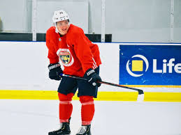 Couguar) population found in south florida. Justin Schutz Profivertrag In Munchen Nhl Camp In Florida Kassel Huskies