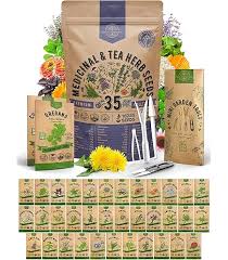 Image result for Cyphostemma kilimandscharicum