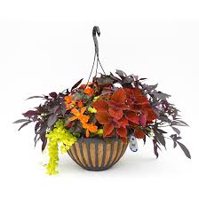 2 clamp sets (thimble and clamps for a 1/16″ wire rope. Garden Treasure Assorted Floral Arrangement 16 In Decorative Hanging Planter Gtb16mix Rona