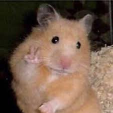 Este vídeo fue echo en memoria a bunny :c sin nada mas que decir :c vídeo original por: I M So Sad Before You Go To Casa Amor You Have A Chance To Say Goodbye To Your Li For Me It Was Noah But I Didn T Have Gems At That Time