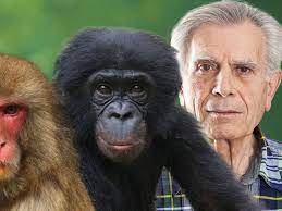 Ученые рассказали, чем закончатся опыты по скрещиванию обезьяны и человека  - РИА Новости, 07.08.2019