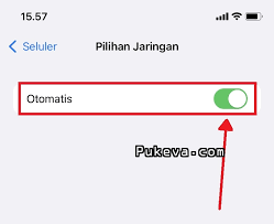Cara Mengatasi iPhone No Service Setelah Update ke iOS 15 | PUKEVA