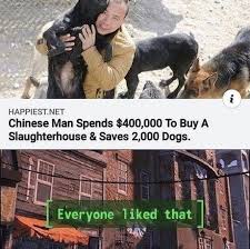 16 Wholesome Animal Memes To Start The Week Off Right Memes Animal Memes Funny Pictures