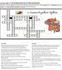 Digestive system by holly willis 2097 views. Learning Task 3 The Human Digestive System Crossworddirection Find The Digestive System Word Below Brainly Ph