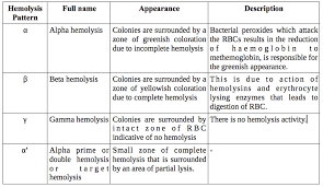 Medical Microbiology Lab Series 15 Biochemical Tests For