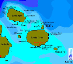 Maybe you would like to learn more about one of these? Scuba Diving In Central Galapagos Ecuador Santiago Santa Cruz Santa Fe Description Of Dive Sites Maps Dive Operators Zubi