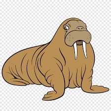 Tennessee and chumley scheme to become more successful. Walrus Sea Lion Dog Cartoon Cartoon Sea Lion Cartoon Character Marine Mammal Png Pngegg