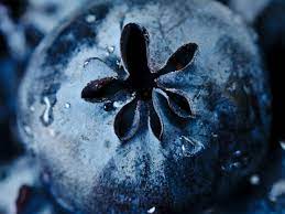 38 Macro Photography Ideas To Shoot At Home In 2021 Macro Photography Macro Fruit Photography Macro Photos