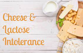 Lactose Intolerant Why You Can Still Eat Cheese United Dairy Industry Of Michigan