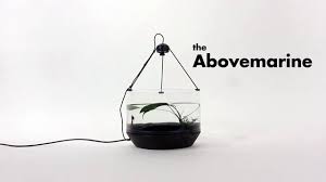 The Abovemarine Learning To Drive Interactive Design Siamese Fighting Fish