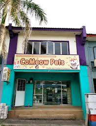 Buy products such as littlest pet shop pet party spectacular, littlest pet shop lps lucky dozen at walmart and save. Comeow Pets Connectbiz By Minnts