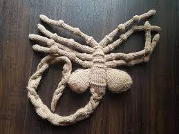 We did not find results for: Knit A Facehugger Gives Free Hugs Pattern Is Free Too Knithacker