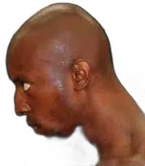 MATCH: Bryant Perrella