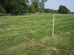 Maybe you would like to learn more about one of these? Admiring The Results Horse Fencing Rope Fence Wooden Fence