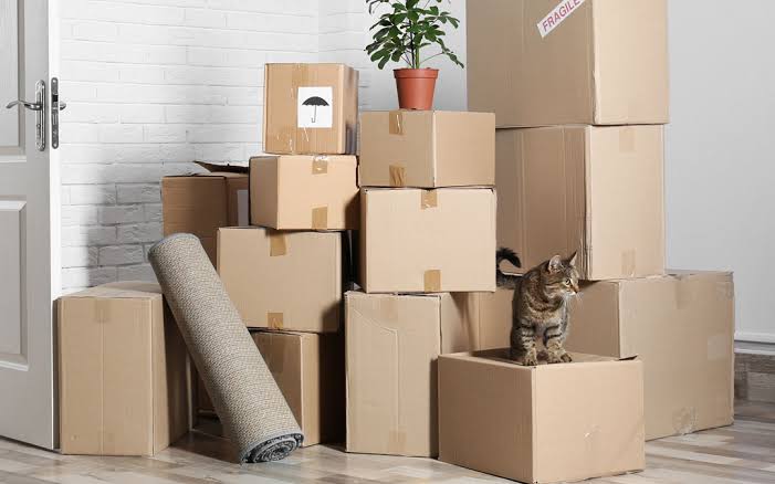 Dịch vụ vận chuyển nhà trọn gói từ Bình Dương đi Ý