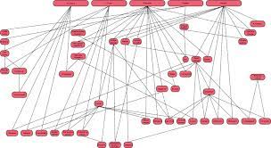 The fruit of the family tree File Citrus Family Tree Svg Wikimedia Commons